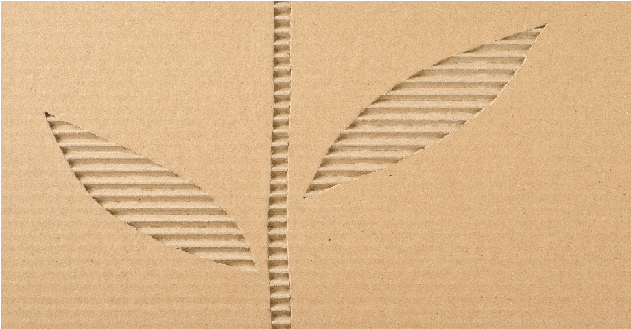 瓦楞纸板作为可持续包装解决方案