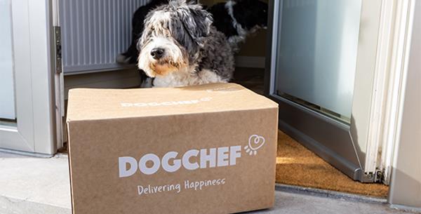 狗厨师besparart karton遇见了新电子商务食品盒货车DS Smith